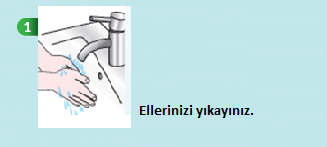 Üriner Sistem Anatomi Şeması